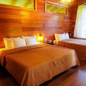 Habitación Deluxe con 2 Camas Individuales